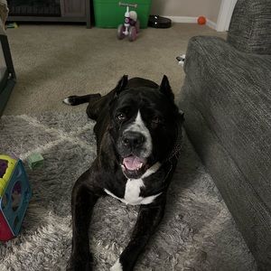 Meet your Posher, Trystan